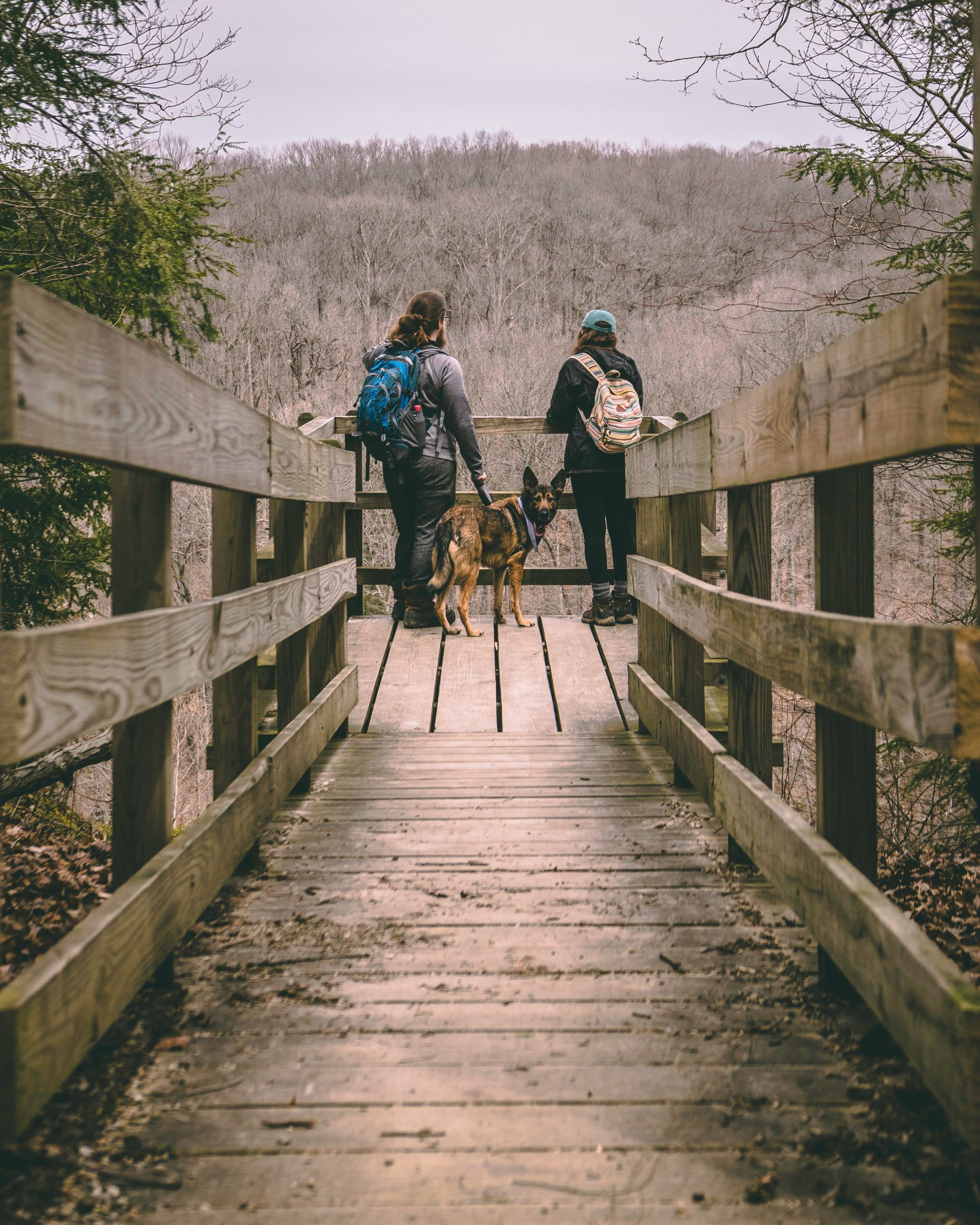 Blind Hiker with Dog