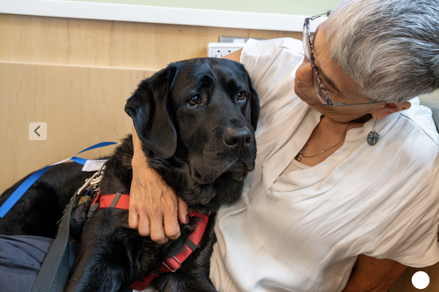 Shadow helping Lee's avoid panic at Med appt Large black dog sitting on the lap and offering deep pressure therapy for a woman in distress