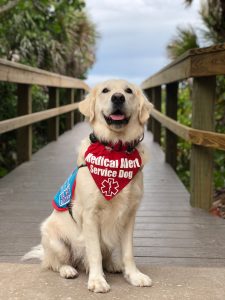 Service Dog Alert